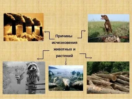 Почему пропадают рисунки