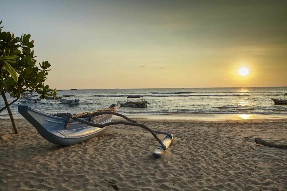 Хиккадува / hikkaduwa coral sands 3*. Coral sands 4 хиккадува. Coral sands 3 шри-ланка хиккадува. Корал сандс хиккадува. Coral sands 3 шри-ланка хиккадува.