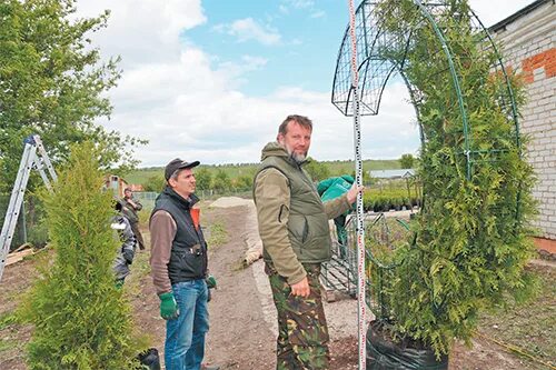 Муромцево питомник. Барский лес Данковский. Барский лес питомник. Садовый центр Барский лес. Барский лес Данковский район питомник каталог.