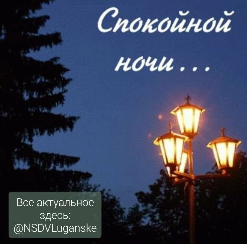 Доброго вечера и спокойной ночи красивые. Осенние пожелания спокойной ночи. Доброй ночи стильные открытки. Спокойной уютной ночи. Хорошего вечера и сладкой ночи.