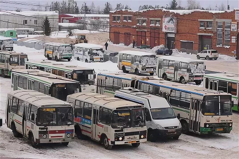 Автобусы города сыктывкара