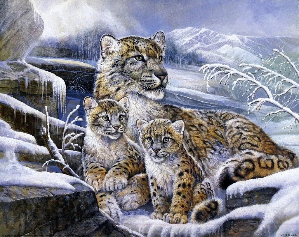 Рысь и тигр. Дикие кошки в живописи. Барс в живописи. Картины с дикими животными.