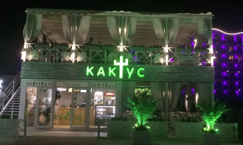 Кафе кактус янтарный. Кактус кафе донецк. Кафе кактус калининград. Кафе кактус балашов. Кафе кактус тула.