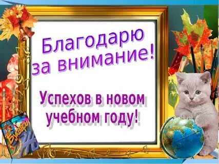 К новому учебному году мне купили две