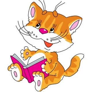 Кот кидс