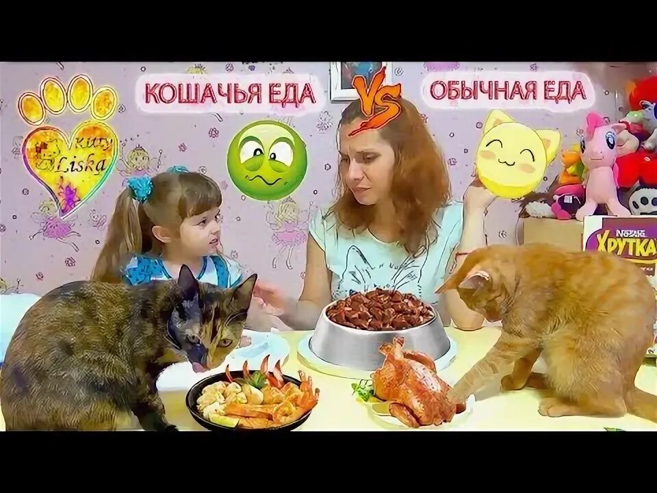 Челлендж кошек. Кошачья еда против настоящей. Кошачья еда против настоящей пробуем. Кошачья еда против человеческой. Фото-ЧЕЛЛЕНДЖ кошек.