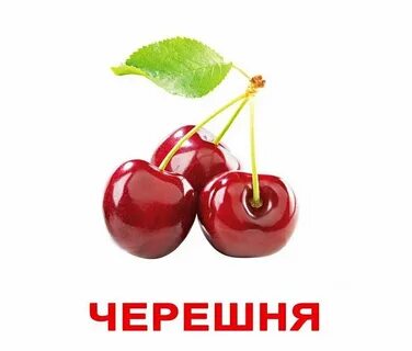 Вишня на английском