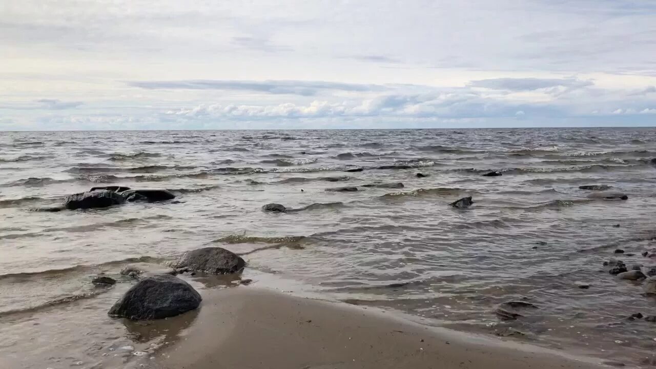 Рыбинское водохранилище замор. Мякса Рыбинское водохранилище. Рыбинское водохранилище мелеет. Рыбинское водохранилище обмелело. Рыбинское водохранилище Гаютино.