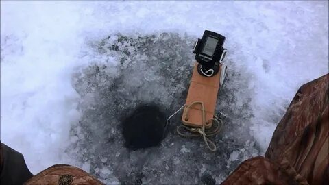 Эхолот практик зимой видео