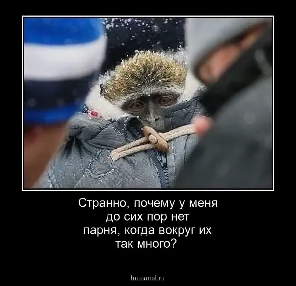 А почему странно то. А почему странно то