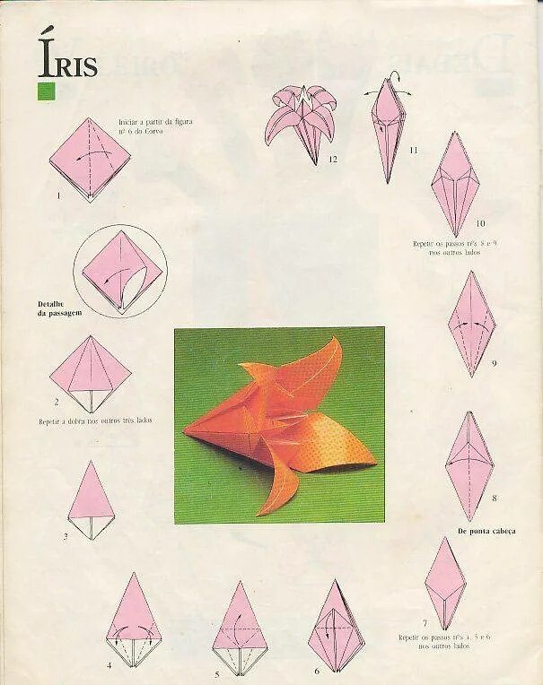 Как сделать тюльпан из бумаги поэтапно. Оригами из бумаги для детей цветы схемы Лилия. Оригами из бумаги цветы Лилия схема. Лилии оригами из бумаги пошаговой инструкции. Оригами цветы из бумаги пошаговой инструкции для детей простые.