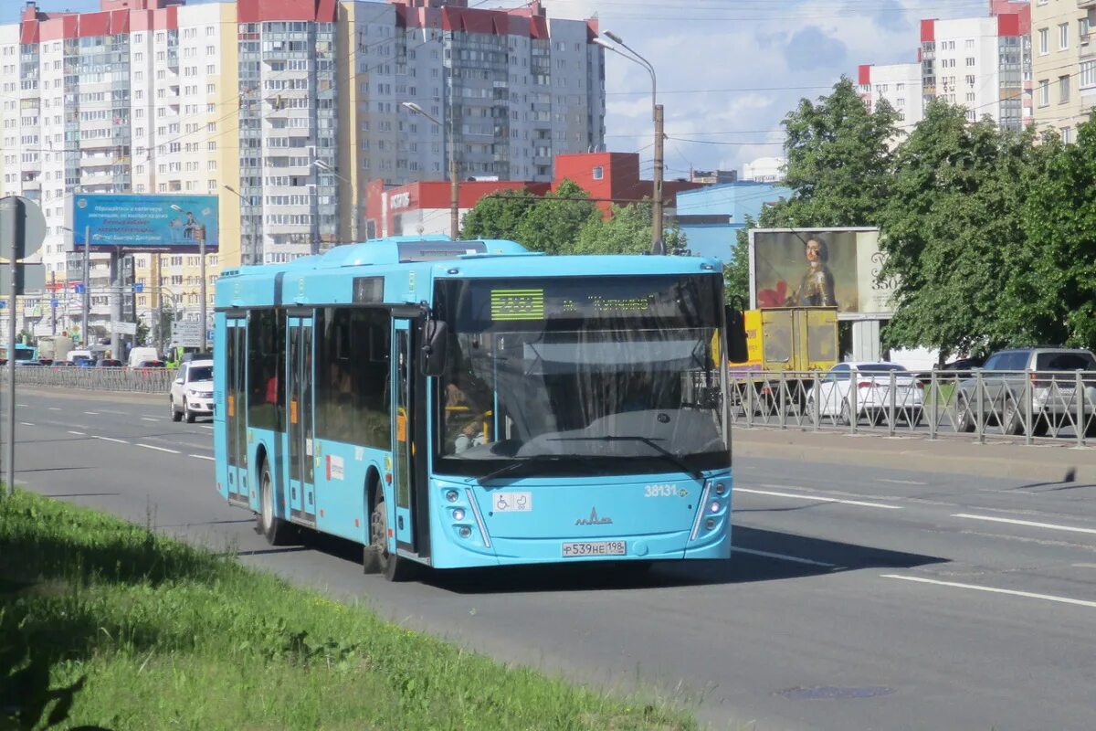 МАЗ-203 автобус. МАЗ автобус 2022 СПБ. Автобус МАЗ 203 СПБ. МАЗ 203.945 Москва.