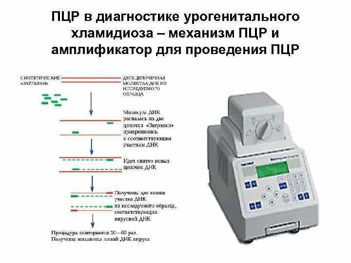 Амплификатор для проведения ПЦР. Методика выполнения ПЦР. Схема ПЦР лабораторное исследование. Полимеразная цепная реакция прибор.