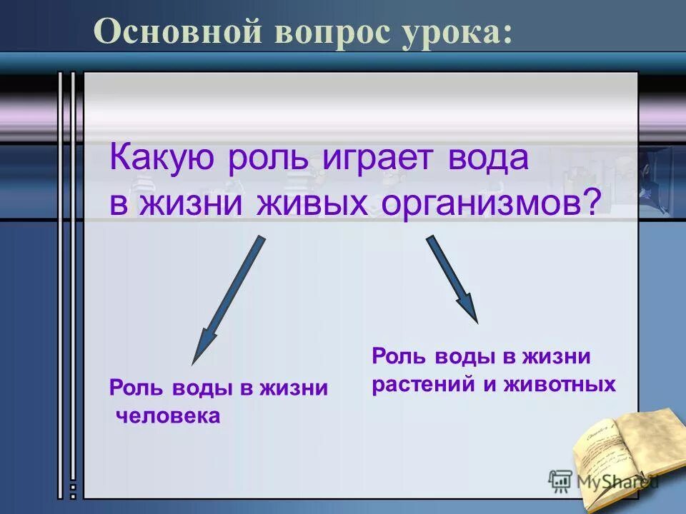 Какую роль играют путешествия. Какую роль играет вода в жизни. Какую роль играет вода в жизни организмов. Какую роль играет вода вдизни организмов.. Роль воды в жизни живых организмов.