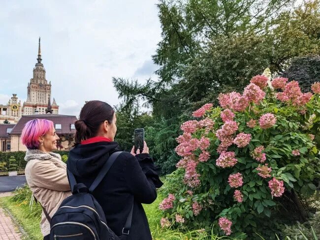Сад мгу. Ботанический сад мгу москва. ботанический сад мгу альпинарий. розы ботсад мгу. ботанический сад мгу 2025.