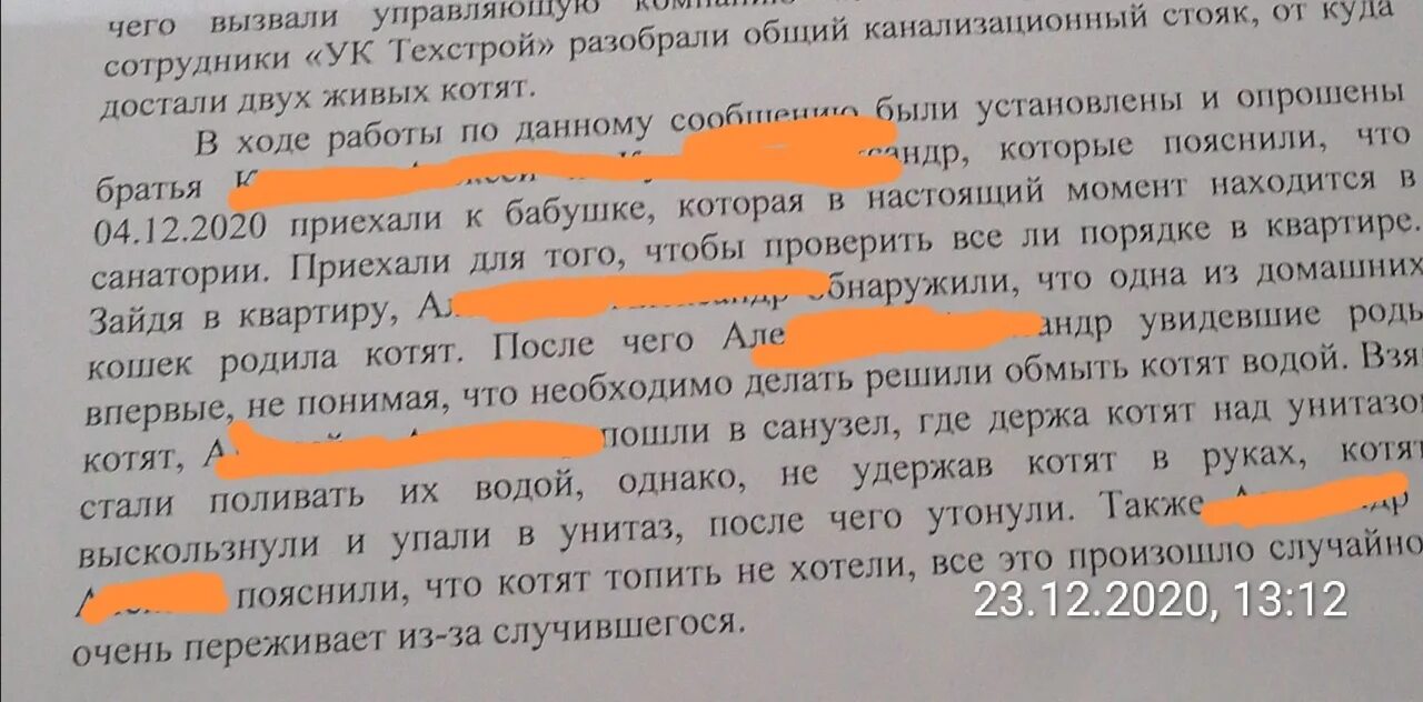 Резкий воздух омыл лицо. Если котенок упал в унитаз.