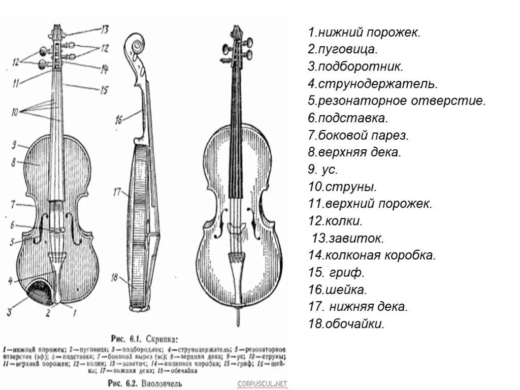 Строение виолончели схема. Смычок виолончели строение. Нарисовать строение скрипки. Схема скрипки 4/4. Схема скрипки
