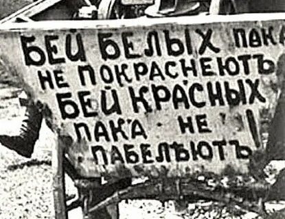 Белая пока