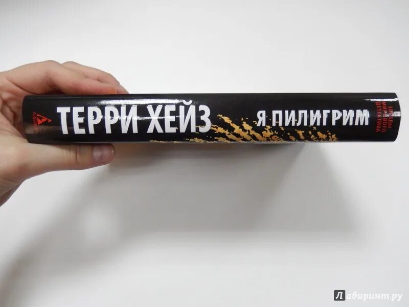 Хейз я пилигрим. Терри Хейз. Терри Хейз "я Пилигрим". Я Пилигрим книга. Пилигрим книга Терри Хейз.