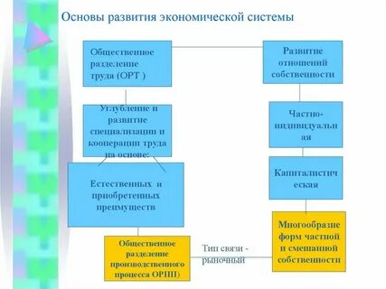 Организационно экономические основы обществ