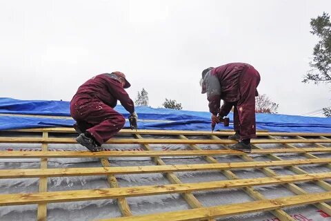 Тамбовская краля