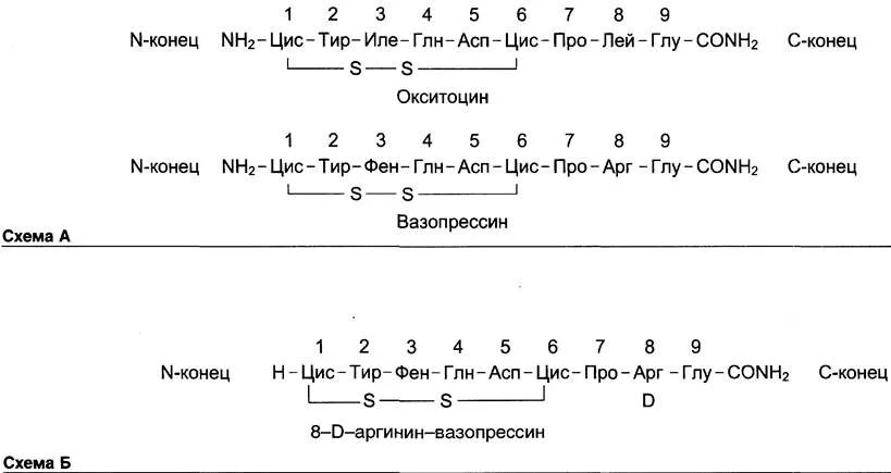 Глу цис. Цис фен тир. Сер-цис-глу-тир-АСП пептид. Цис тир иле пептид. Глу-АРГ-про.