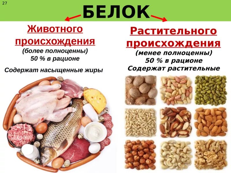 Белки животного происхождения. Белки животного и растительного происхождения. Растительные и животные белк.. Продукты источники белка животного происхождения. Белок питьевой