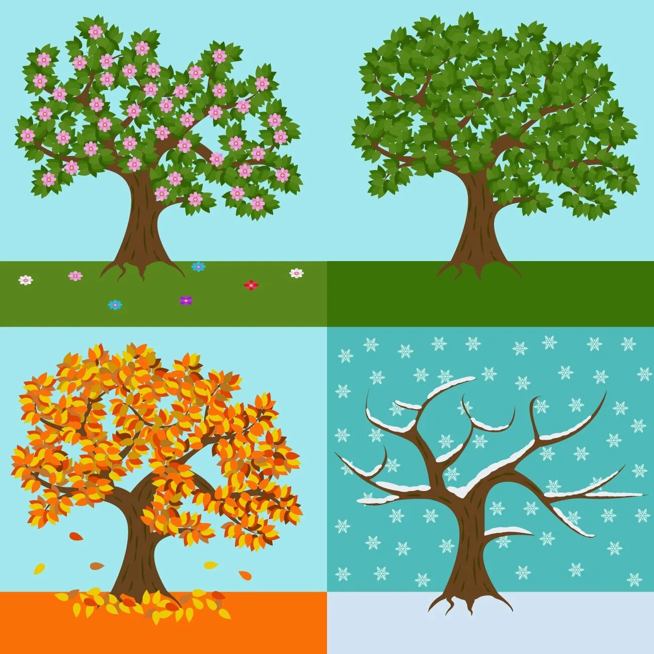 Яблоня в разные времена года. Дерево в разные времена года. Дерево по сезонам. Изображения времен года для детей.