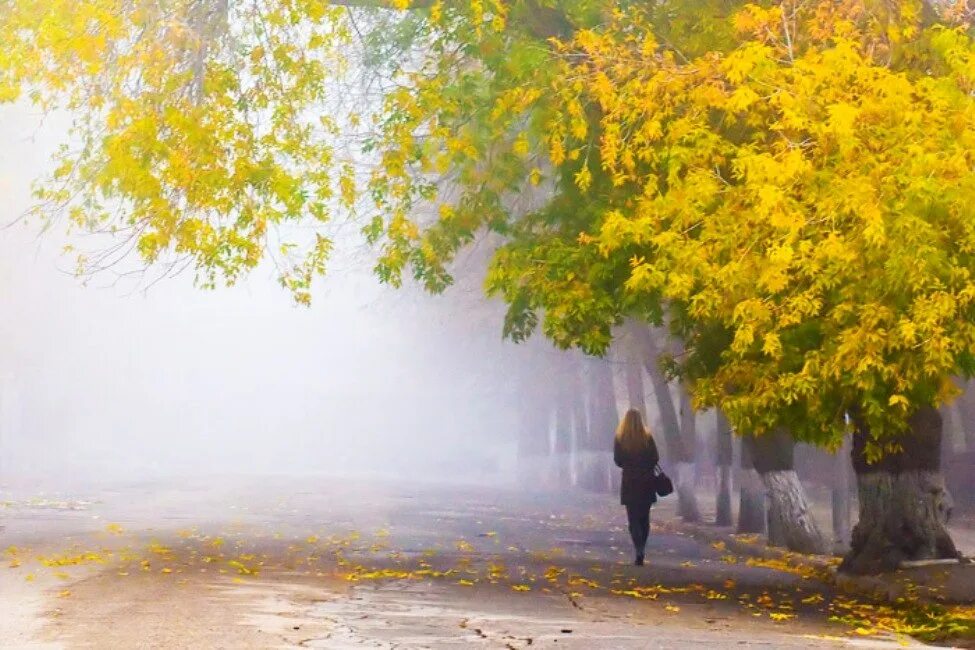 Греет землю словно. Осенний день. Осенний дождь. Дождливый осенний день. Осенняя грусть.