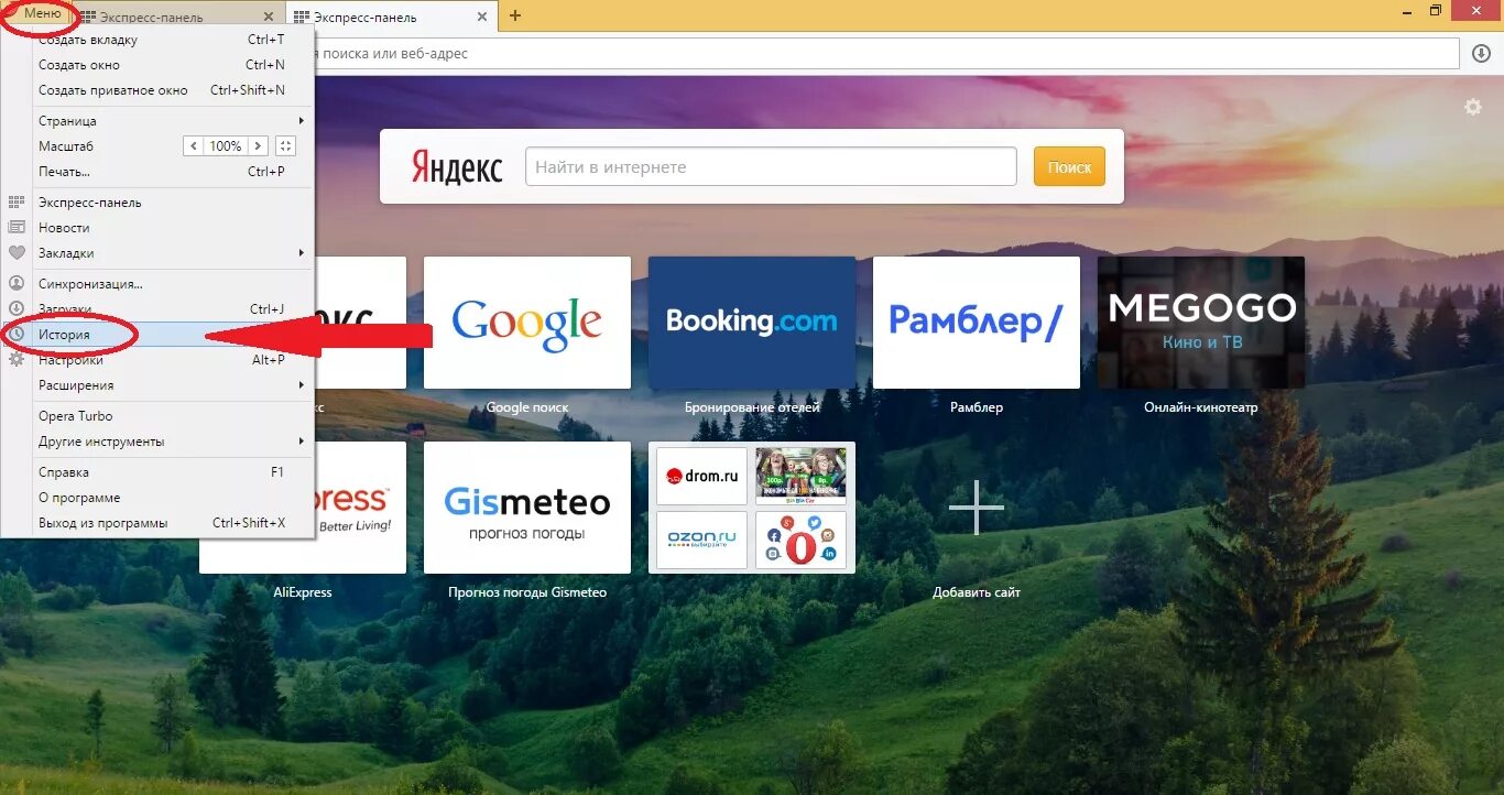Где в опере история браузера. История посещений браузера опера.