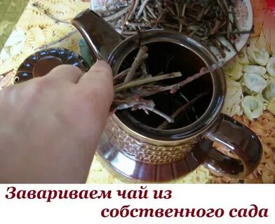 Ее заваривают затевая