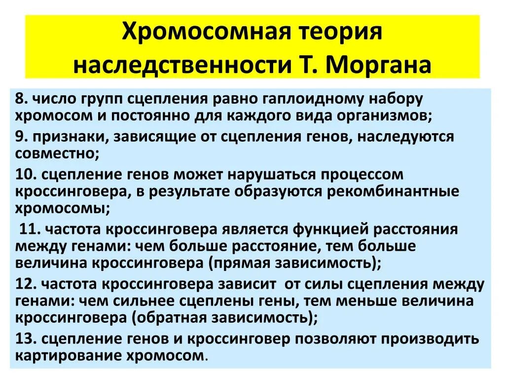 Положениями хромосомной теории наследственности является. Теории наследственности т. Моргана. Хромосомная телрич наследственно. Основные положения хромосомной теории Моргана кратко.