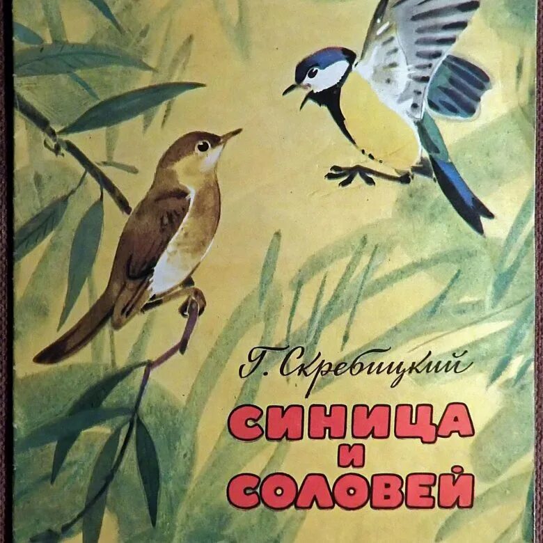 Сказка про птицу человека. Книга Скребицкий синица и Соловей. Rybub j gnbwf[ lkz ltntq. Книги о синичках для детей.