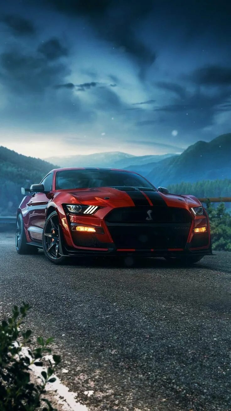 Mustang Shelby для трека