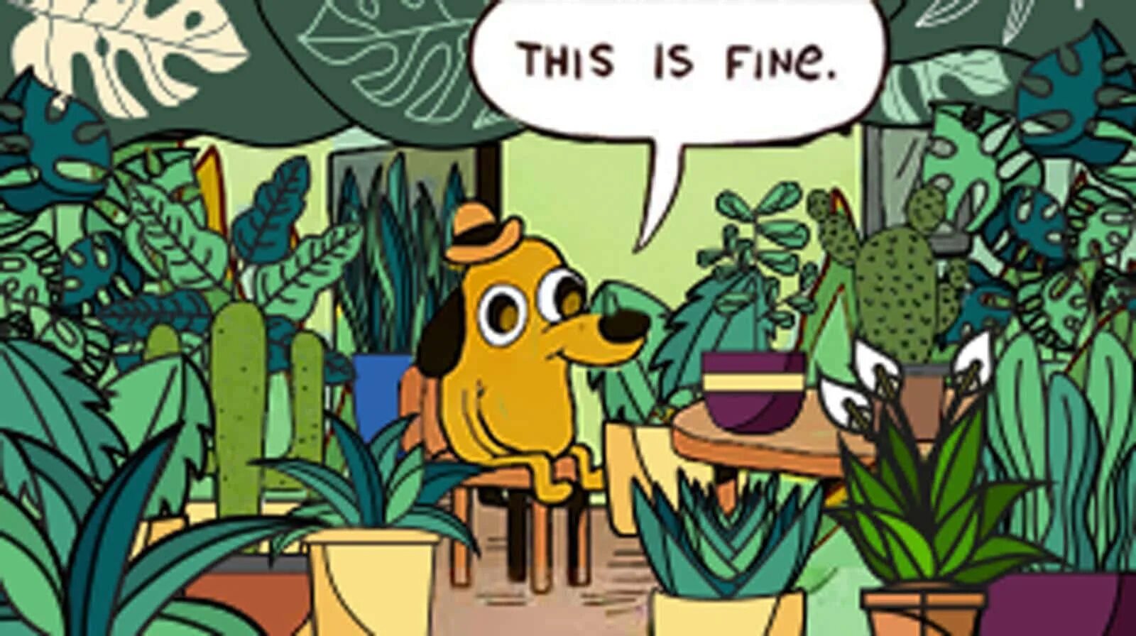 If the day is fine. This is fine. this is fine plants.