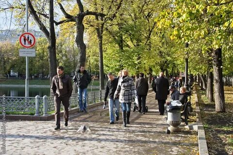 Стрельба на патриарших