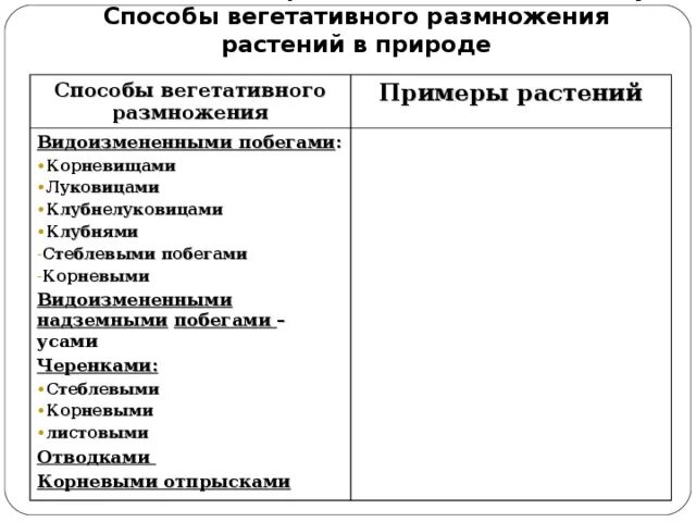 Вегетативное размножение растений примеры таблица. Таблица по биологии 6 класс способы вегетативного размножения. Способы вегетативного размножения растений таблица с примерами. Таблица способы вегетативного размножения растений 6 класс. Способы вегетативного размножения растений таблица.