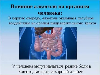 Организм пьющего человека