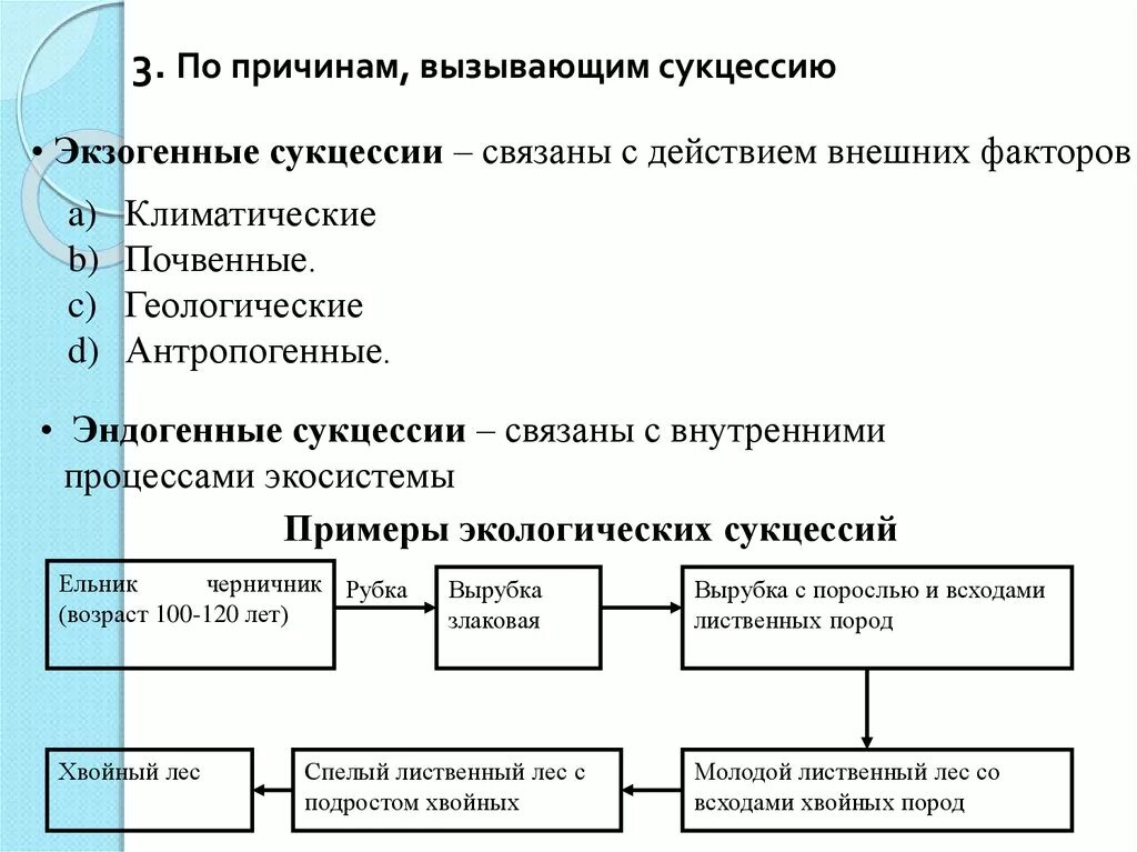 Установите соответствие между примерами и типами сукцессий