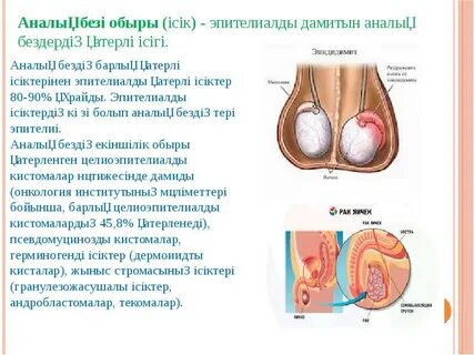 Мас күйеуінің алдында әйелінің тобырлық порносы