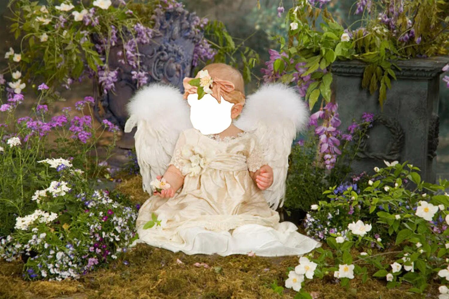 Фото красивых ангелов. Красивые ангелочки. Маленький ангел. Ангелочек картинки. Малыш Ангелочек.