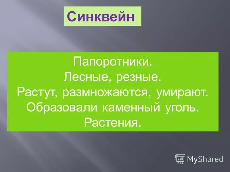 5 синквейнов по биологии