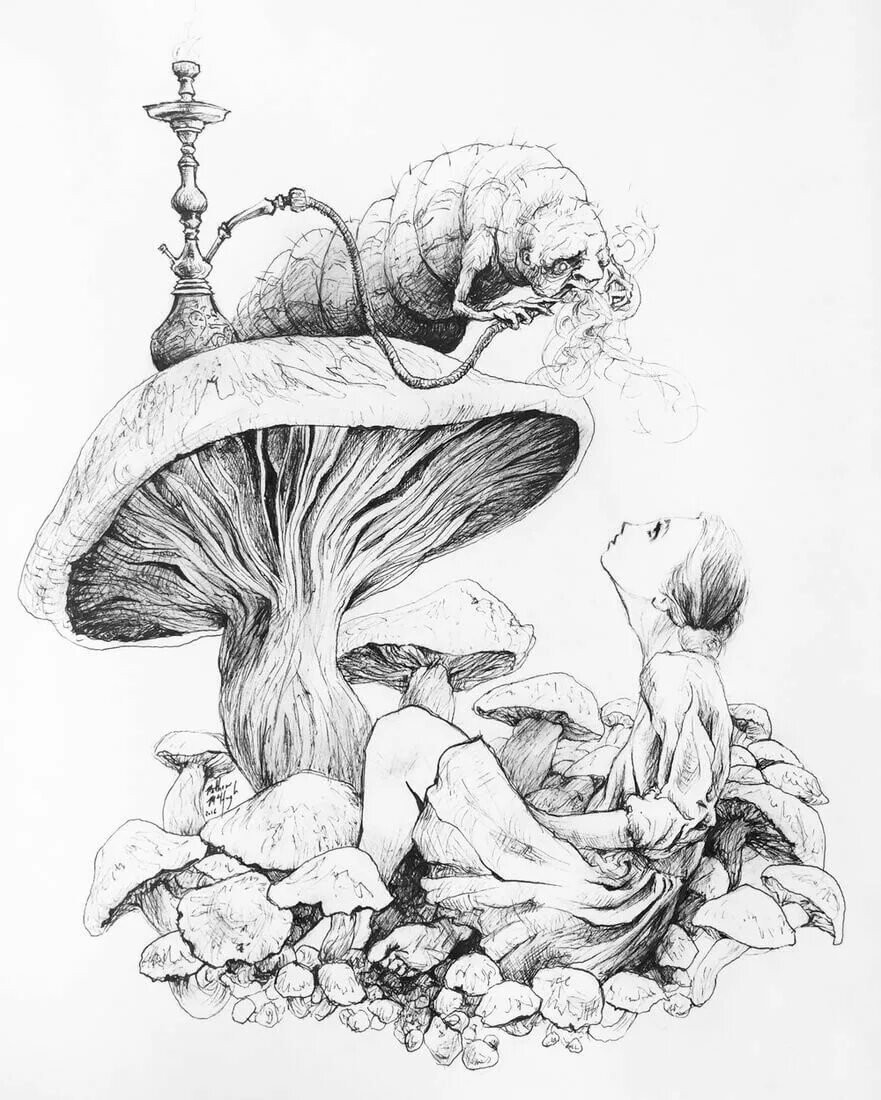Сток графика. Иллюстрации Графика. Стоковые иллюстрации. Грибы эскиз. Алиса в стране чудес грибы.