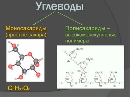 Общие углеводы это