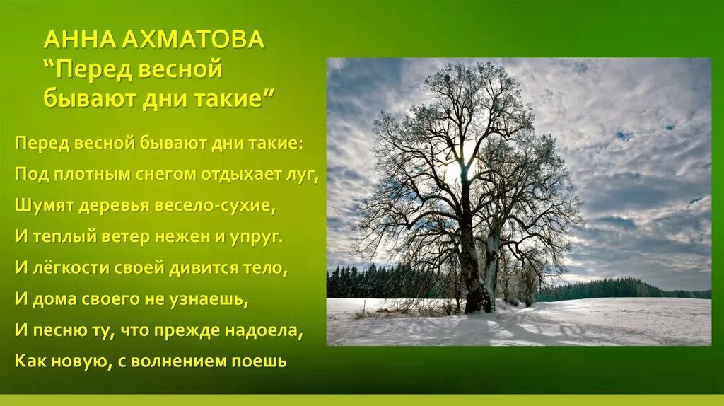 Перед весной бывают дни такие. Перед весной бывают дни такие Ахматова. Размер стихотворения перед весной бывают