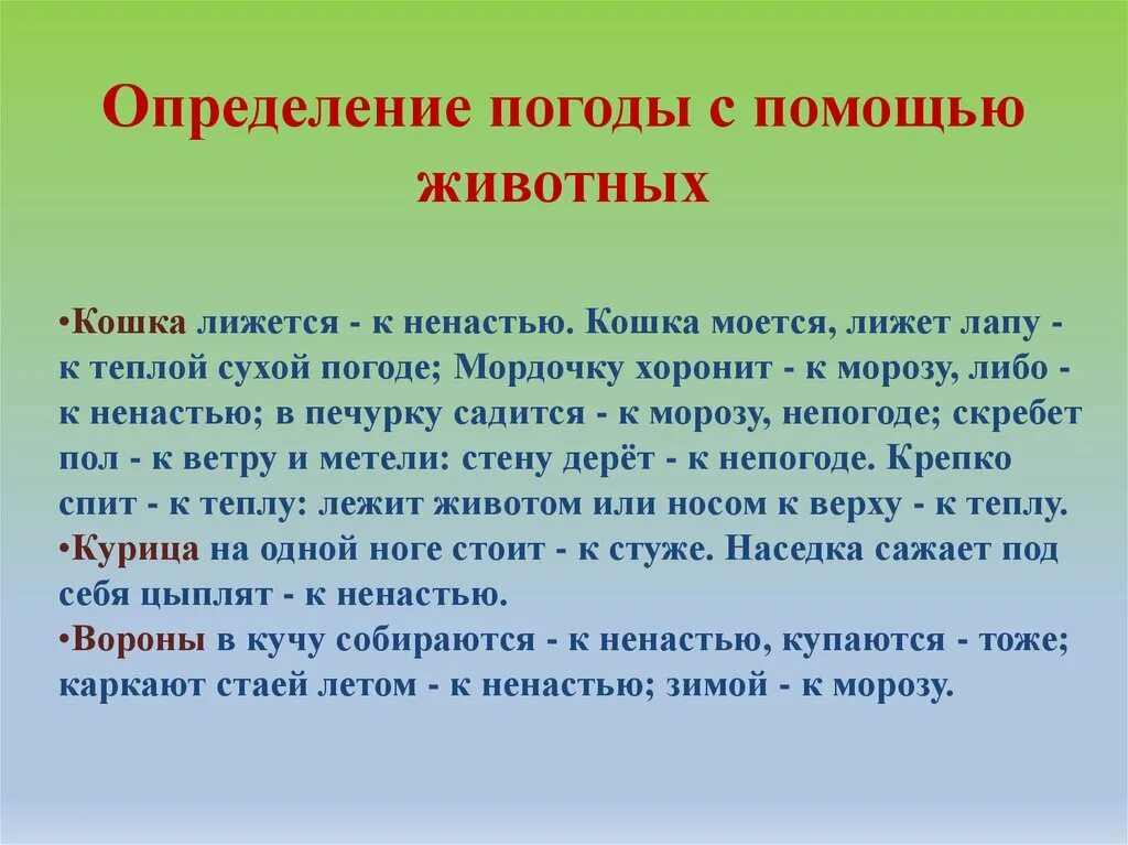 Примеры примет в россии. Приметы. Народные приметы. Погодные приметы. Народные погодные приметы.