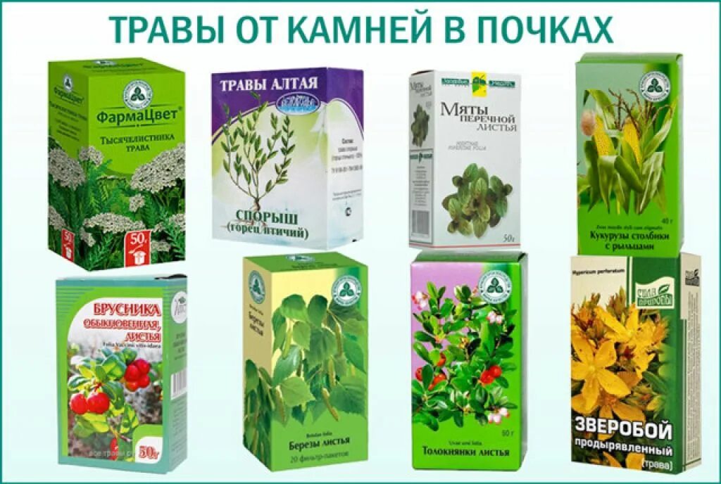 Можно ли растворить камни в почках. Лекарство для выведения камней из почек. камни в почках препараты. трава от камней в почках. сбор трав при камнях в почках.
