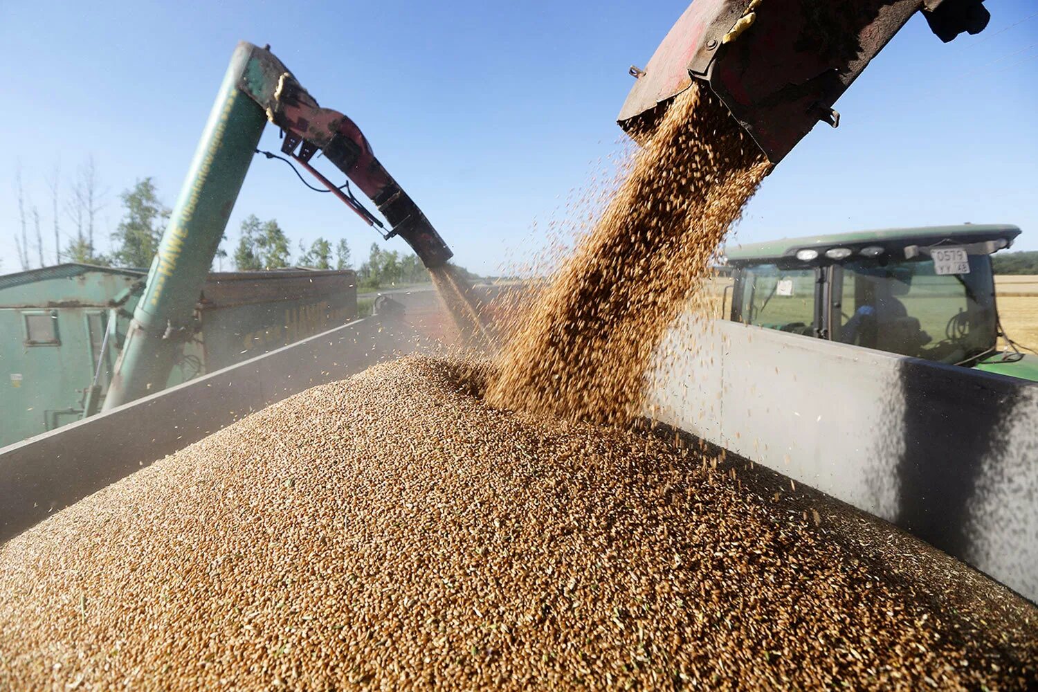 Экспорт зерна. Сбор пшеницы. Экспорт пшеницы. Украинское зерно.