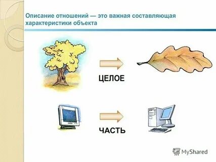 Отражает определенную связь отношение