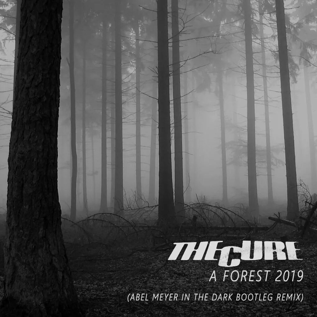 The cure forest. Обложка лес. The Cure a Forest. Лес 2019. 2016 Лес обложка.